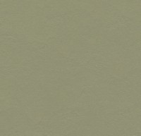 333355 Rosemary Green Click Marmoleum 